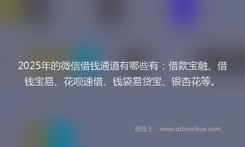 2025年的微信借钱通道有哪些有：借款宝融、借钱宝易、花呗速借、钱袋易贷宝、银杏花等。