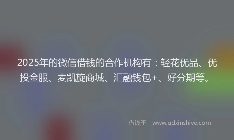 2025年的微信借钱的合作机构有：轻花优品、优投金服、麦凯旋商城、汇融钱包+、好分期等。