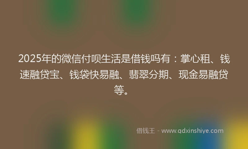 2025年的微信付呗生活是借钱吗有：掌心租、钱速融贷宝、钱袋快易融、翡翠分期、现金易融贷等。