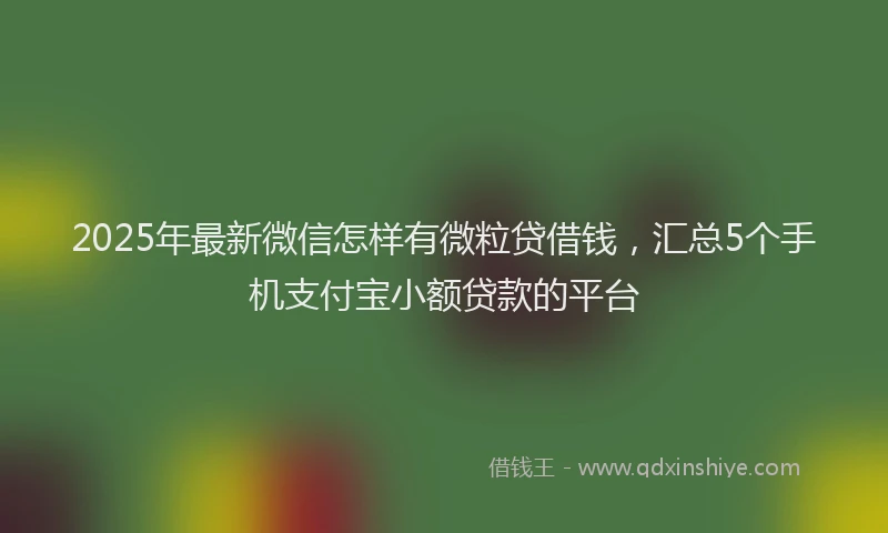 2025年最新微信怎样有微粒贷借钱，汇总5个手机支付宝小额贷款的平台