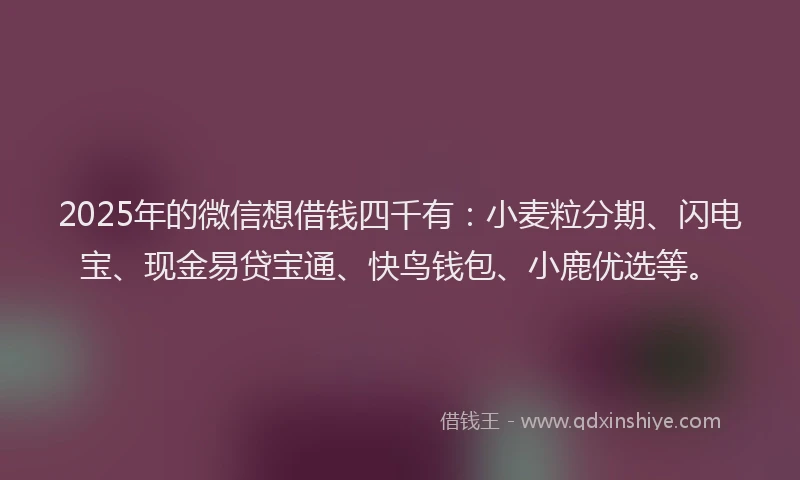 2025年的微信想借钱四千有：小麦粒分期、闪电宝、现金易贷宝通、快鸟钱包、小鹿优选等。
