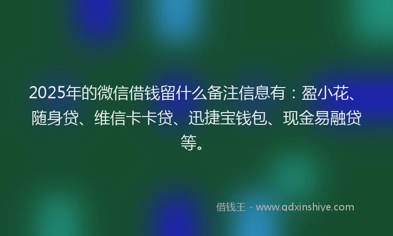 2025年的微信借钱留什么备注信息有：盈小花、随身贷、维信卡卡贷、迅捷宝钱包、现金易融贷等。