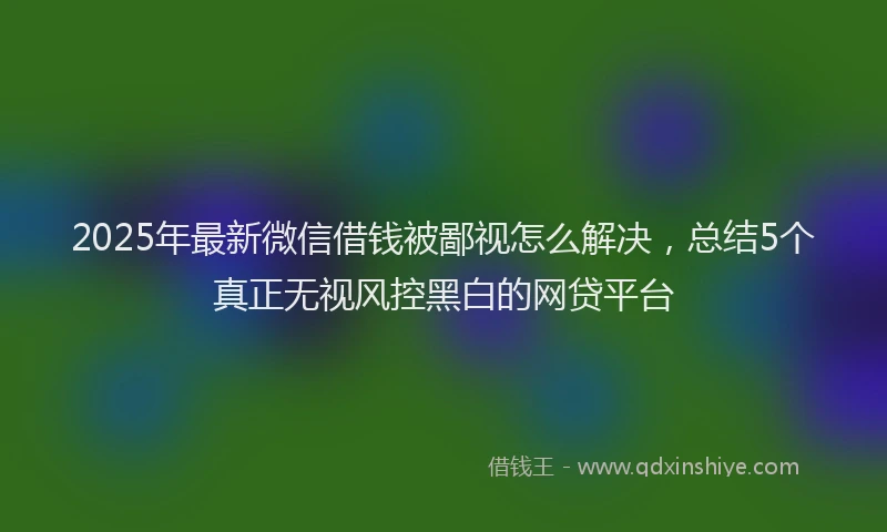 2025年最新微信借钱被鄙视怎么解决，总结5个真正无视风控黑白的网贷平台