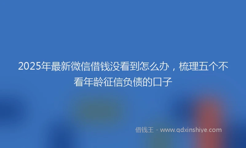 2025年最新微信借钱没看到怎么办，梳理五个不看年龄征信负债的口子