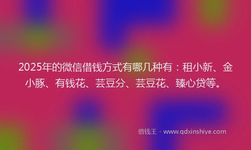 2025年的微信借钱方式有哪几种有：租小新、金小豚、有钱花、芸豆分、芸豆花、臻心贷等。