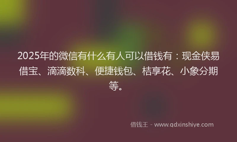 2025年的微信有什么有人可以借钱有：现金侠易借宝、滴滴数科、便捷钱包、桔享花、小象分期等。