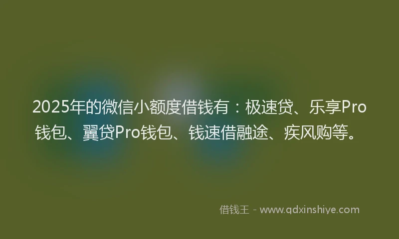 2025年的微信小额度借钱有：极速贷、乐享Pro钱包、翼贷Pro钱包、钱速借融途、疾风购等。