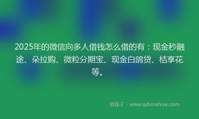 2025年的微信向多人借钱怎么借的有：现金秒融途、朵拉购、微粒分期宝、现金白鸽贷、桔享花等。