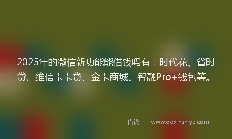2025年的微信新功能能借钱吗有：时代花、省时贷、维信卡卡贷、金卡商城、智融Pro+钱包等。