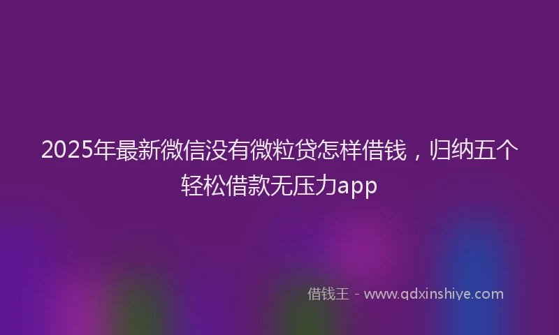2025年最新微信没有微粒贷怎样借钱，归纳五个轻松借款无压力app