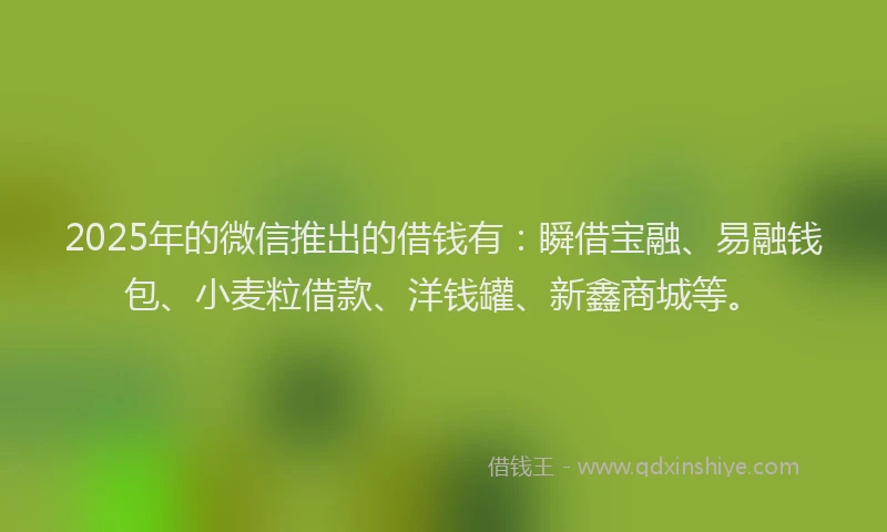 2025年的微信推出的借钱有：瞬借宝融、易融钱包、小麦粒借款、洋钱罐、新鑫商城等。