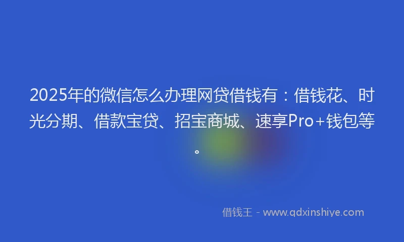 2025年的微信怎么办理网贷借钱有：借钱花、时光分期、借款宝贷、招宝商城、速享Pro+钱包等。
