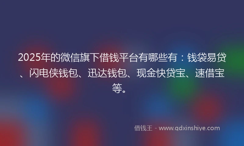 2025年的微信旗下借钱平台有哪些有：钱袋易贷、闪电侠钱包、迅达钱包、现金快贷宝、速借宝等。