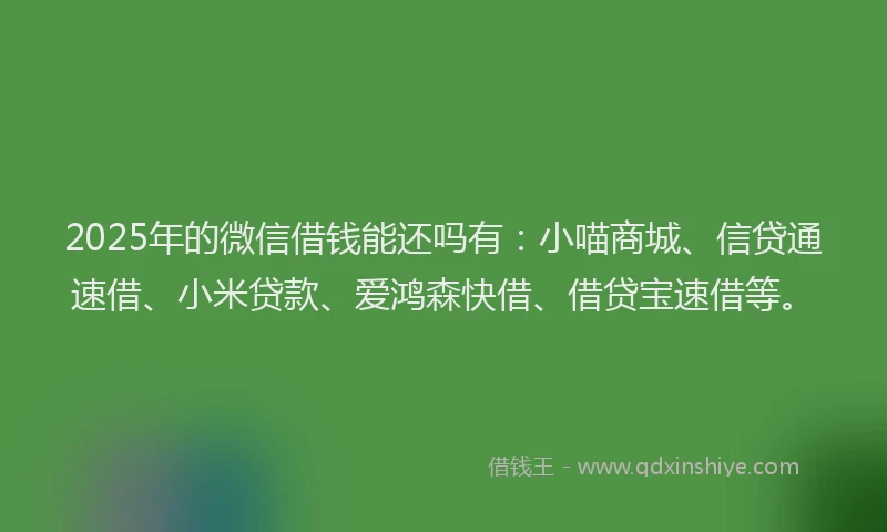 2025年的微信借钱能还吗有：小喵商城、信贷通速借、小米贷款、爱鸿森快借、借贷宝速借等。