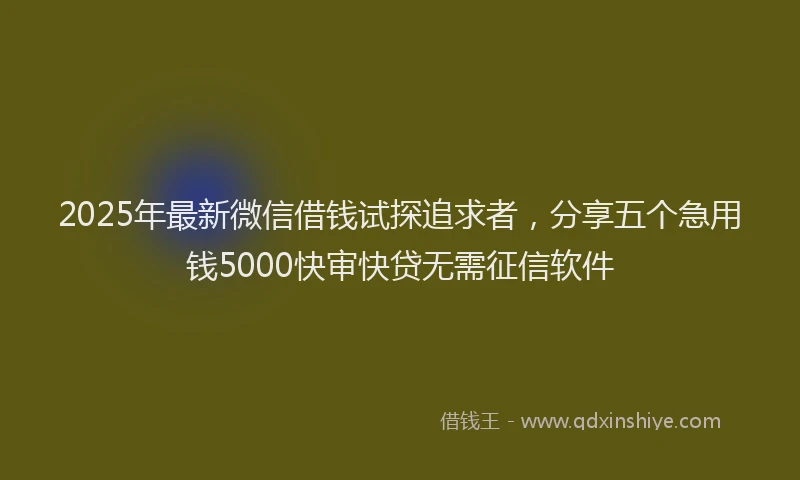 2025年最新微信借钱试探追求者，分享五个急用钱5000快审快贷无需征信软件