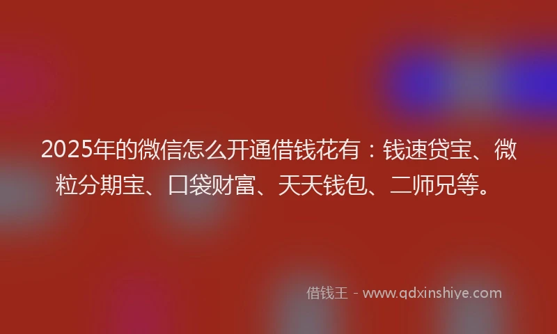 2025年的微信怎么开通借钱花有：钱速贷宝、微粒分期宝、口袋财富、天天钱包、二师兄等。