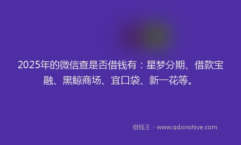 2025年的微信查是否借钱有：星梦分期、借款宝融、黑鲸商场、宜口袋、新一花等。