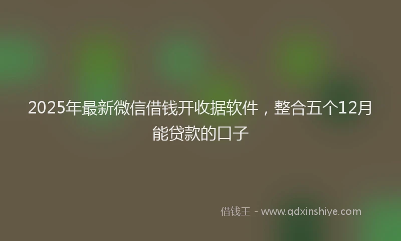 2025年最新微信借钱开收据软件，整合五个12月能贷款的口子