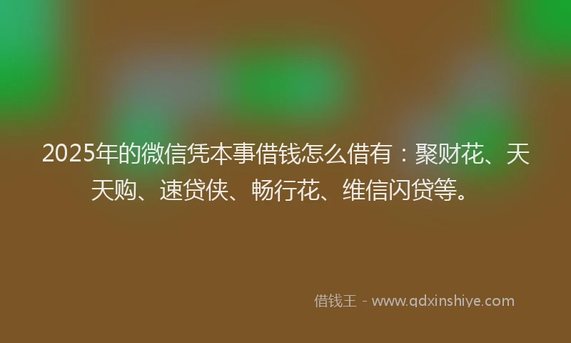 2025年的微信凭本事借钱怎么借有：聚财花、天天购、速贷侠、畅行花、维信闪贷等。