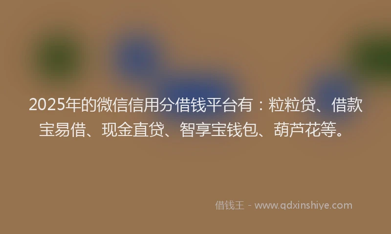 2025年的微信信用分借钱平台有：粒粒贷、借款宝易借、现金直贷、智享宝钱包、葫芦花等。