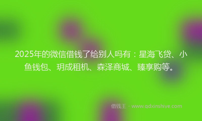 2025年的微信借钱了给别人吗有：星海飞贷、小鱼钱包、玥成租机、森泽商城、臻享购等。