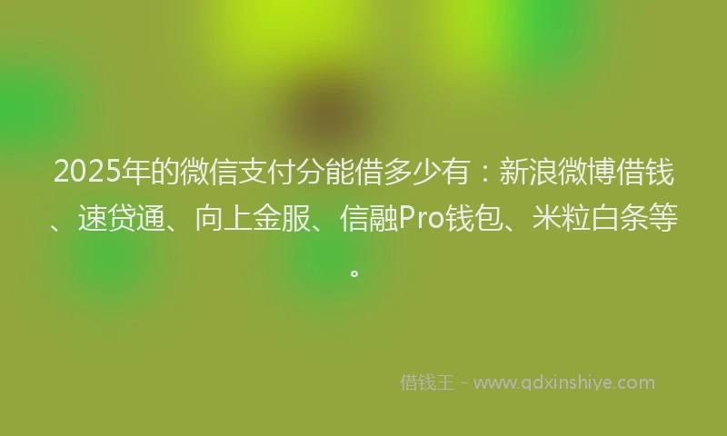 2025年的微信支付分能借多少有：新浪微博借钱、速贷通、向上金服、信融Pro钱包、米粒白条等。