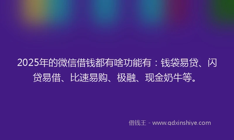 2025年的微信借钱都有啥功能有：钱袋易贷、闪贷易借、比速易购、极融、现金奶牛等。