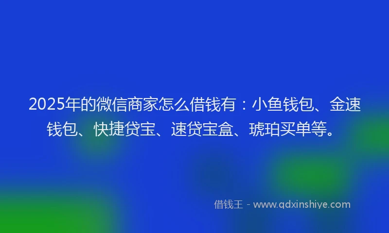 2025年的微信商家怎么借钱有：小鱼钱包、金速钱包、快捷贷宝、速贷宝盒、琥珀买单等。