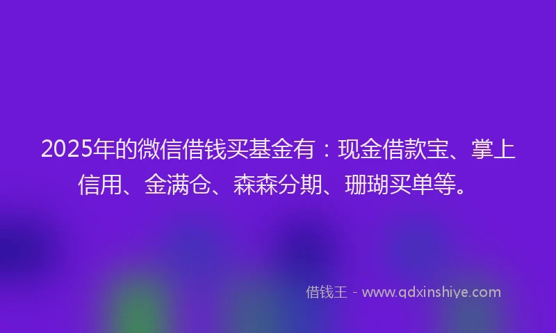 2025年的微信借钱买基金有：现金借款宝、掌上信用、金满仓、森森分期、珊瑚买单等。