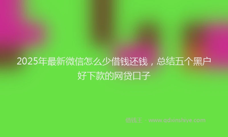 2025年最新微信怎么少借钱还钱，总结五个黑户好下款的网贷口子