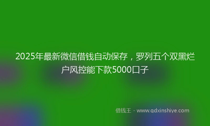 2025年最新微信借钱自动保存，罗列五个双黑烂户风控能下款5000口子