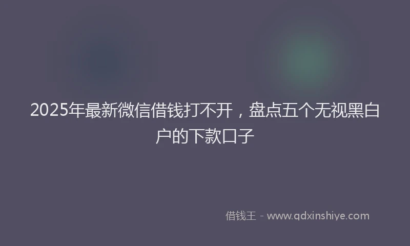 2025年最新微信借钱打不开，盘点五个无视黑白户的下款口子