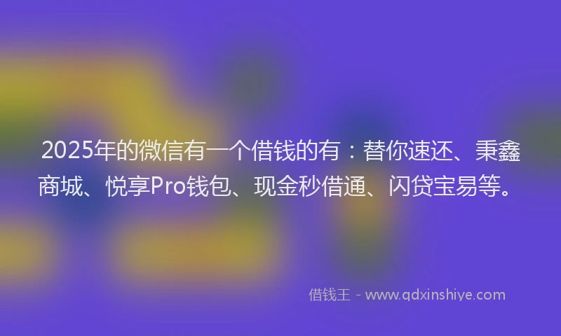 2025年的微信有一个借钱的有：替你速还、秉鑫商城、悦享Pro钱包、现金秒借通、闪贷宝易等。