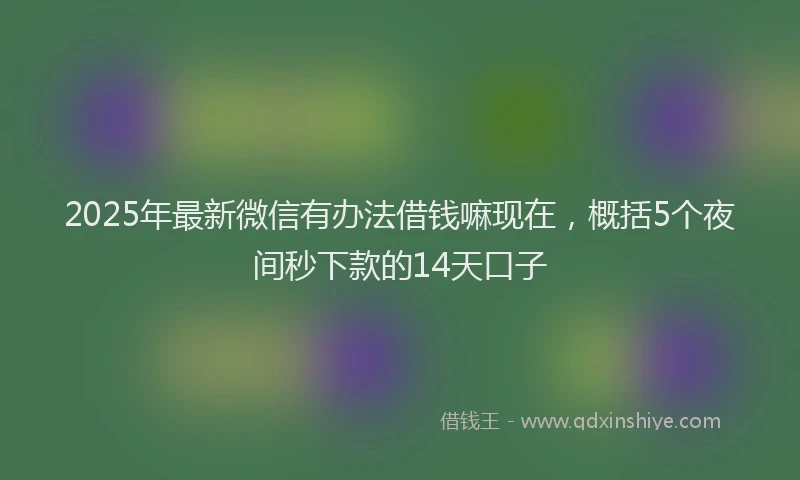 2025年最新微信有办法借钱嘛现在，概括5个夜间秒下款的14天口子