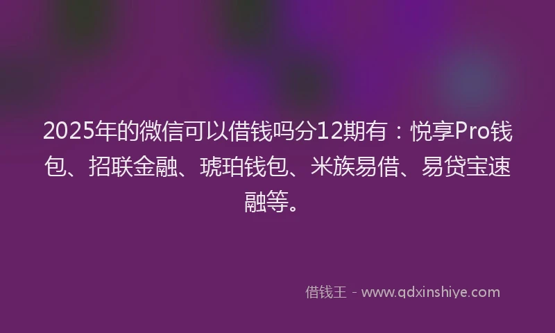 2025年的微信可以借钱吗分12期有：悦享Pro钱包、招联金融、琥珀钱包、米族易借、易贷宝速融等。