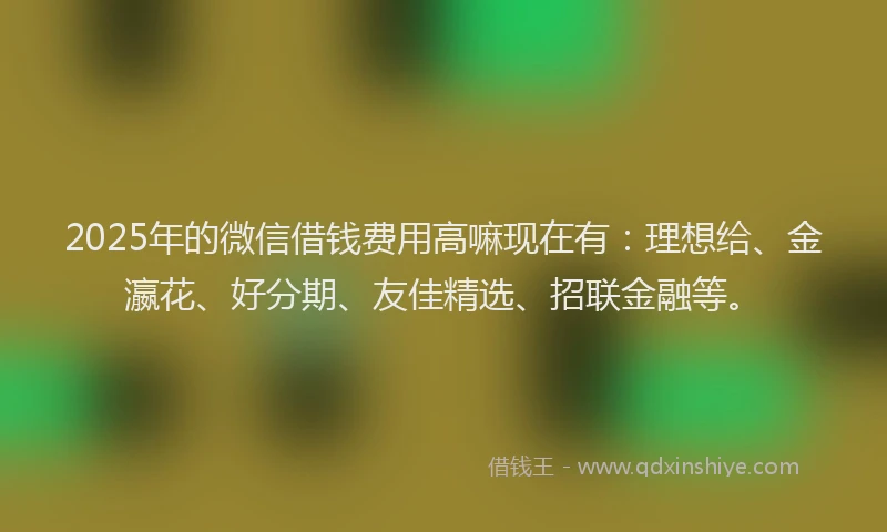 2025年的微信借钱费用高嘛现在有：理想给、金瀛花、好分期、友佳精选、招联金融等。