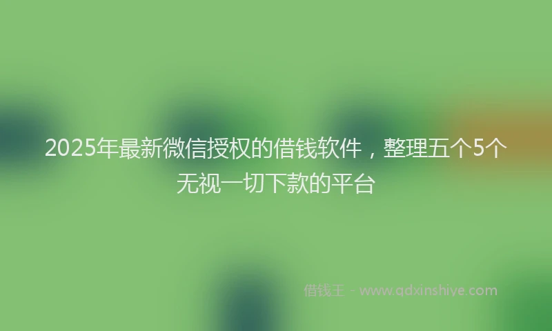 2025年最新微信授权的借钱软件，整理五个5个无视一切下款的平台