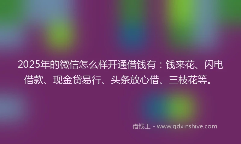 2025年的微信怎么样开通借钱有：钱来花、闪电借款、现金贷易行、头条放心借、三枝花等。