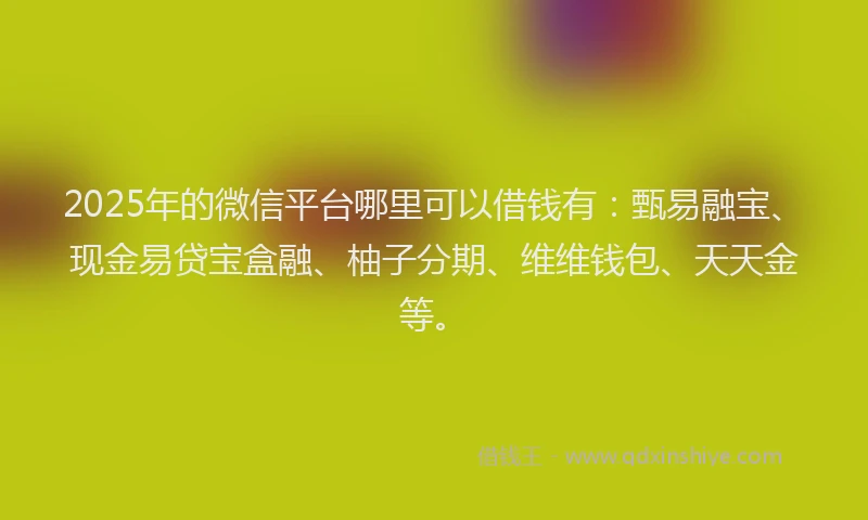 2025年的微信平台哪里可以借钱有：甄易融宝、现金易贷宝盒融、柚子分期、维维钱包、天天金等。