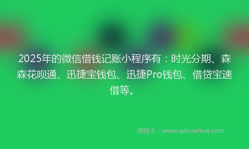 2025年的微信借钱记账小程序有：时光分期、森森花呗通、迅捷宝钱包、迅捷Pro钱包、借贷宝速借等。