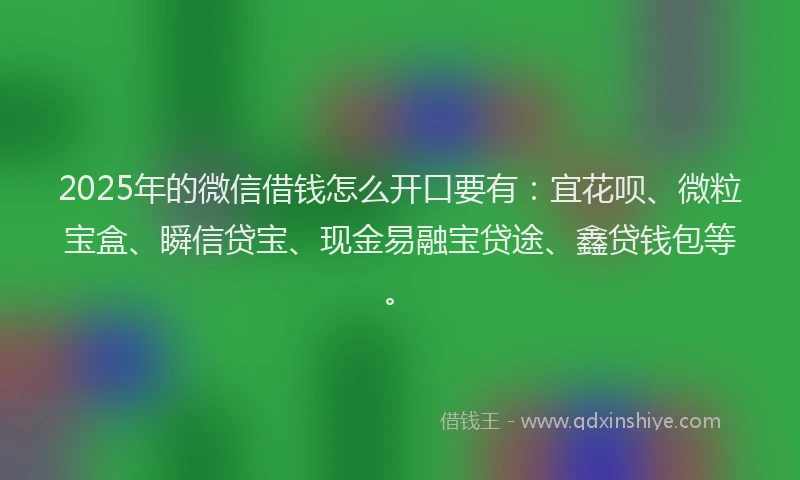 2025年的微信借钱怎么开口要有：宜花呗、微粒宝盒、瞬信贷宝、现金易融宝贷途、鑫贷钱包等。