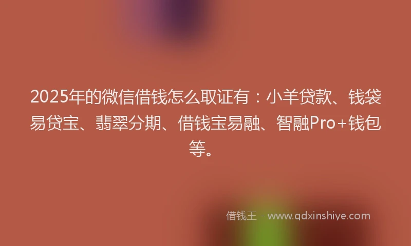 2025年的微信借钱怎么取证有：小羊贷款、钱袋易贷宝、翡翠分期、借钱宝易融、智融Pro+钱包等。