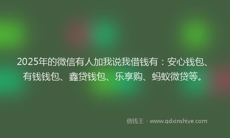 2025年的微信有人加我说我借钱有：安心钱包、有钱钱包、鑫贷钱包、乐享购、蚂蚁微贷等。