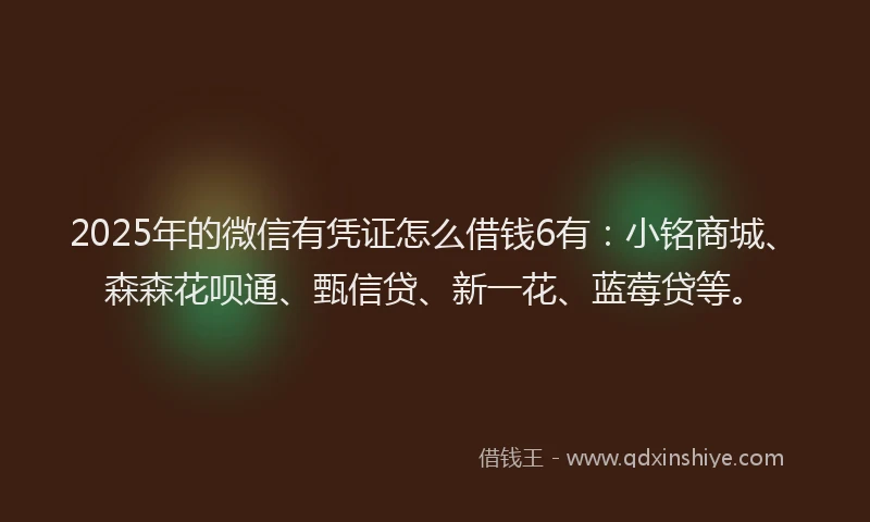 2025年的微信有凭证怎么借钱6有：小铭商城、森森花呗通、甄信贷、新一花、蓝莓贷等。