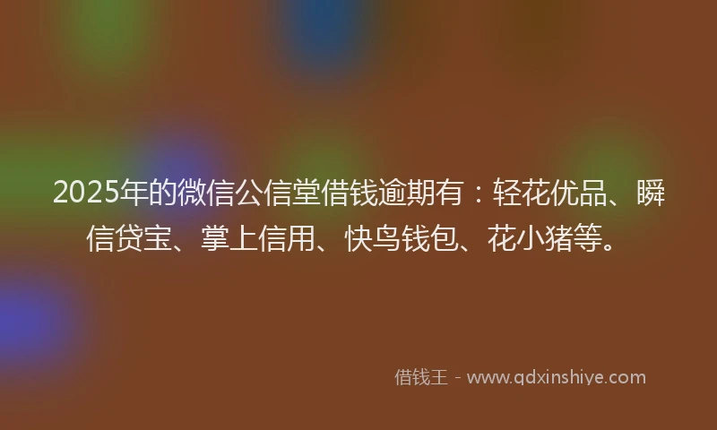2025年的微信公信堂借钱逾期有：轻花优品、瞬信贷宝、掌上信用、快鸟钱包、花小猪等。