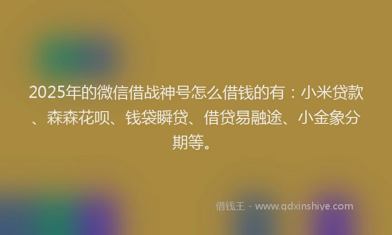 2025年的微信借战神号怎么借钱的有：小米贷款、森森花呗、钱袋瞬贷、借贷易融途、小金象分期等。