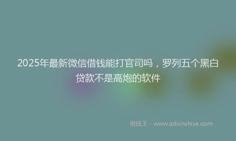 2025年最新微信借钱能打官司吗，罗列五个黑白贷款不是高炮的软件