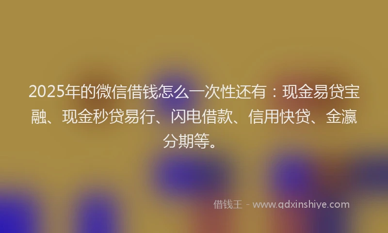 2025年的微信借钱怎么一次性还有：现金易贷宝融、现金秒贷易行、闪电借款、信用快贷、金瀛分期等。