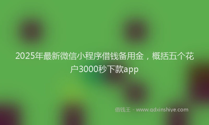 2025年最新微信小程序借钱备用金，概括五个花户3000秒下款app