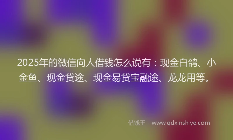2025年的微信向人借钱怎么说有：现金白鸽、小金鱼、现金贷途、现金易贷宝融途、龙龙用等。